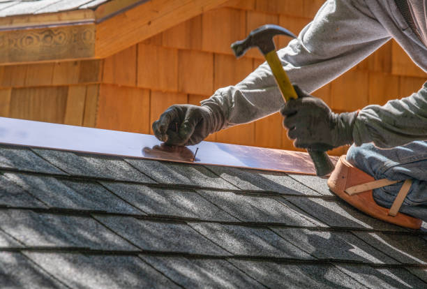 Best Roof Repair  in Brazoria, TX