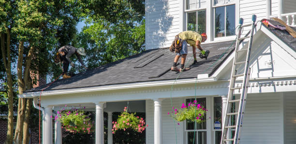Best Roof Ventilation Installation  in Brazoria, TX